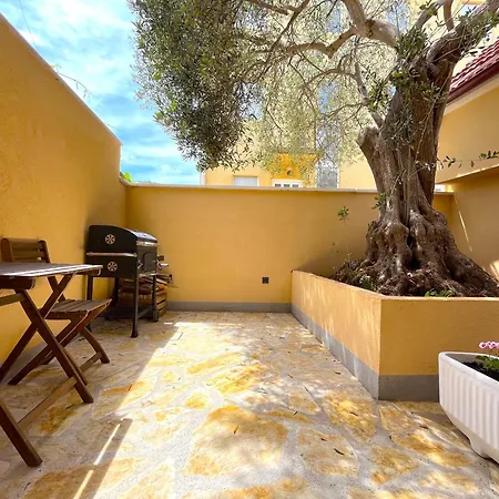 Olive Tree Apartment Stari Grad  Exterior photo