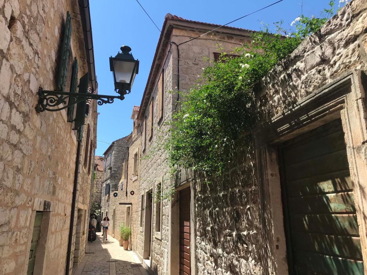 Olive Tree * Stari Grad (Hvar)